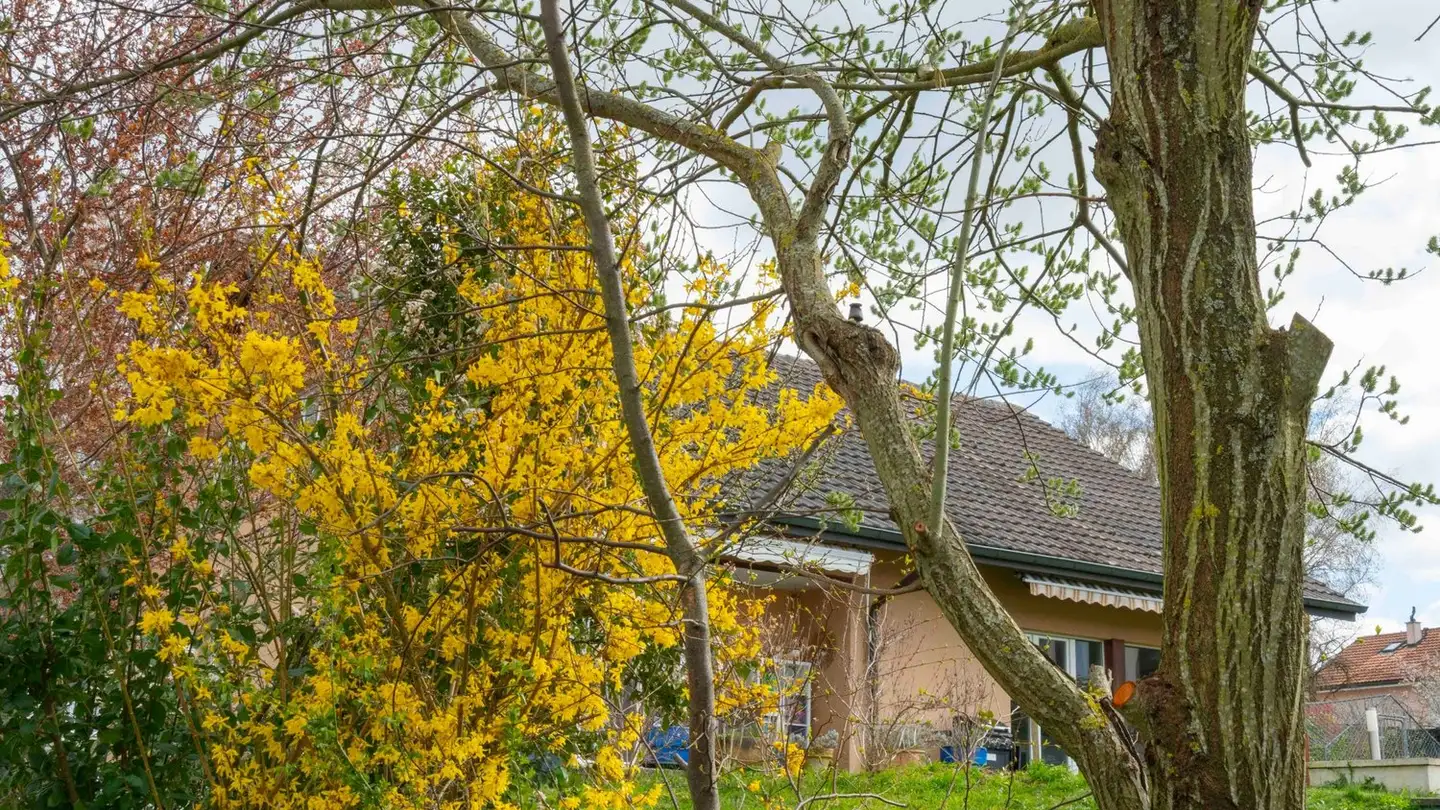 Maison individuelle à vendre - 1373 Chavornay