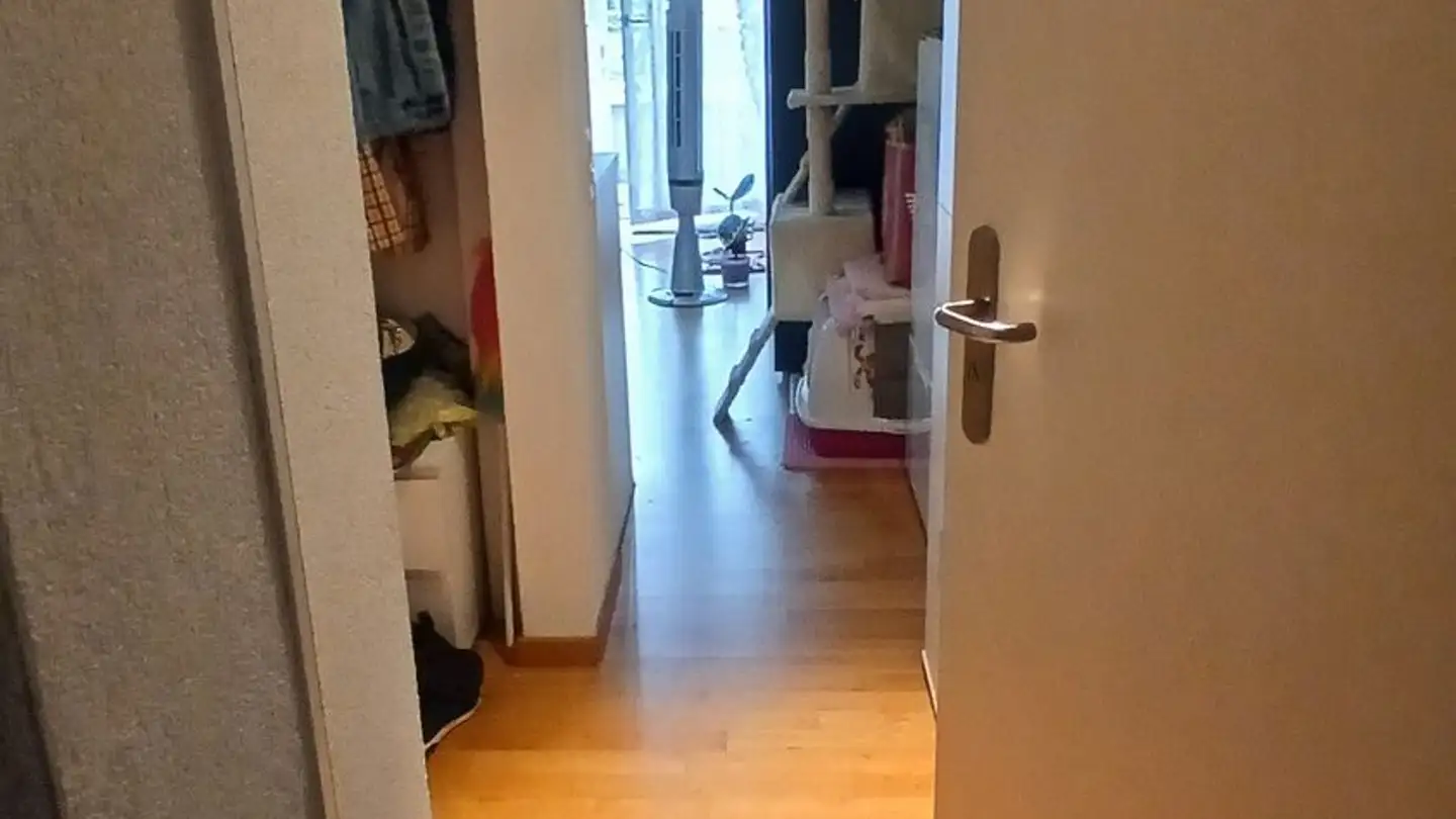 Wohnung mieten - Sonnenbergstrasse 30, 8102 Oberengstringen