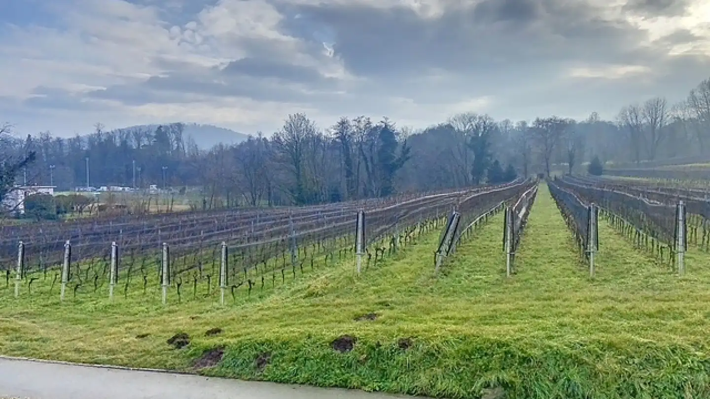 Casa singola in vendita - 6855 Stabio - Foto 4