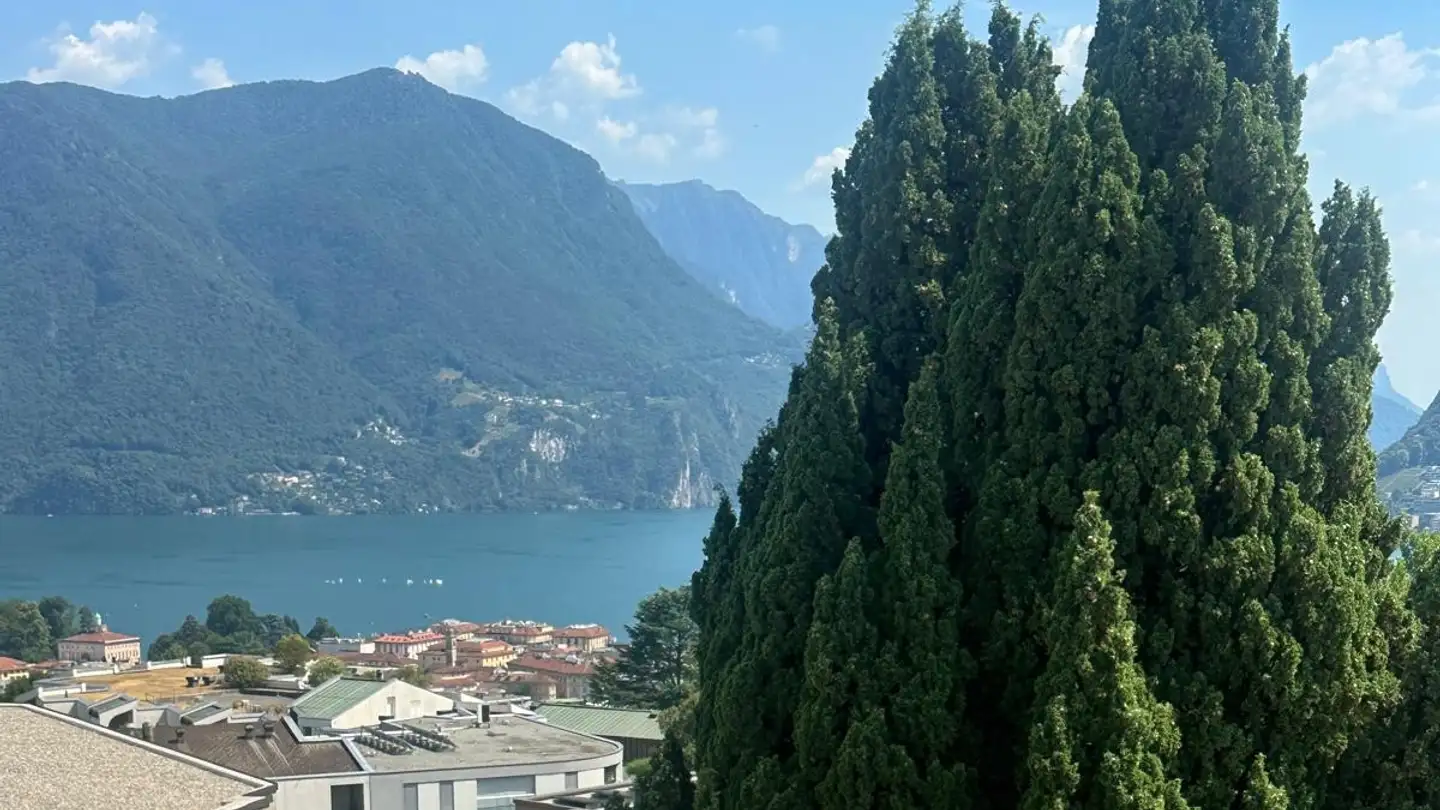 Apartment for sale - 6900 Massagno - Photo 2