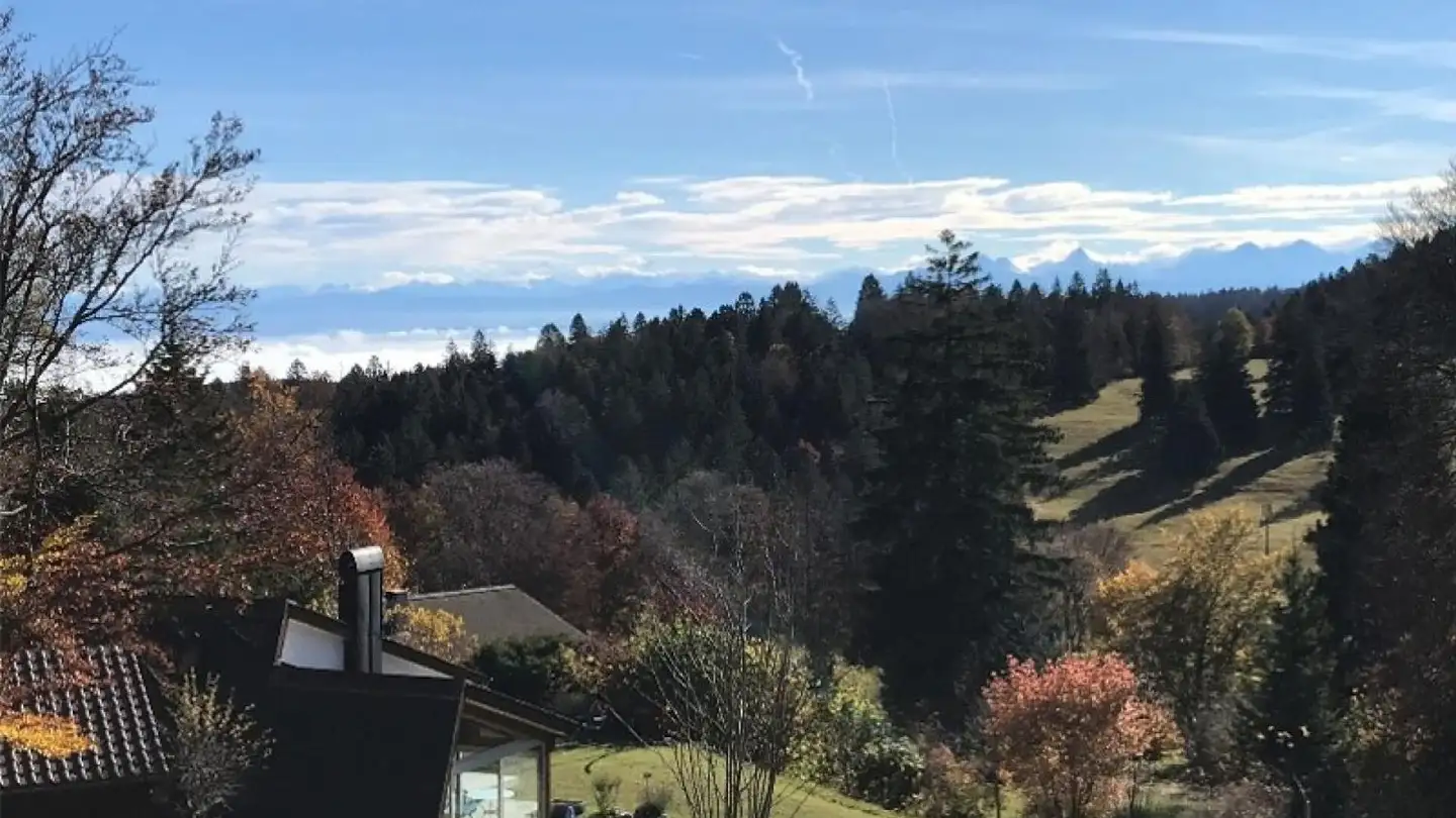 Casa singola in vendita - Chemin Des Aliziers 20, 2534 Les Prés-d'Orvin - Foto 3