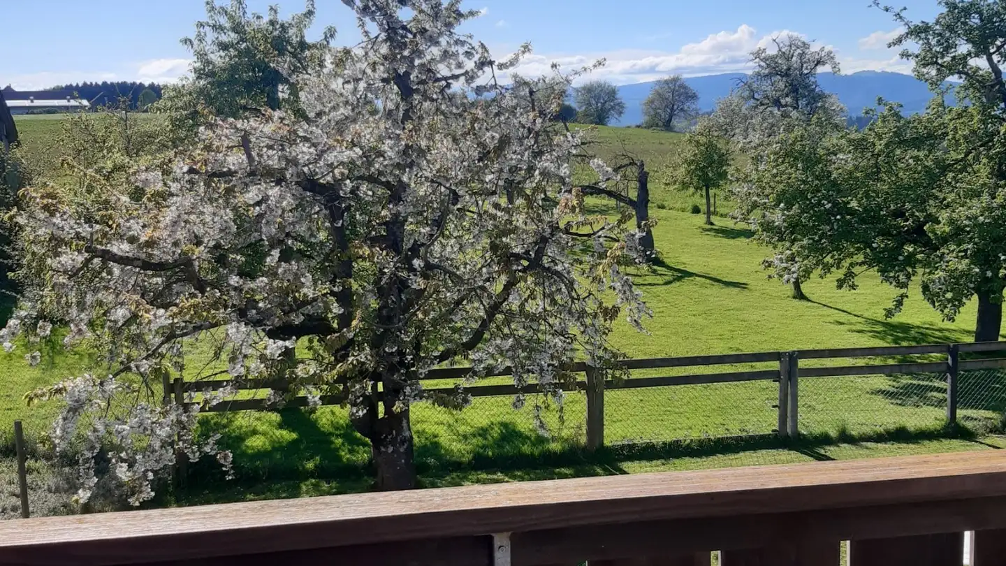 Single house for rent - 4585 Biezwil - Photo 3