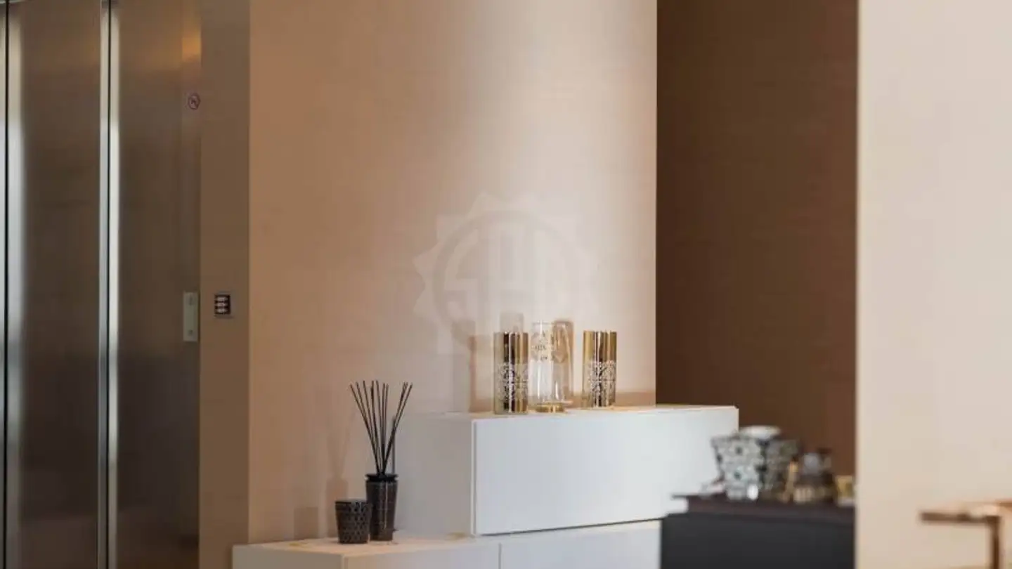 Appartamento in affitto - Rampe De Cologny 2a, 1223 Cologny - Photo 2