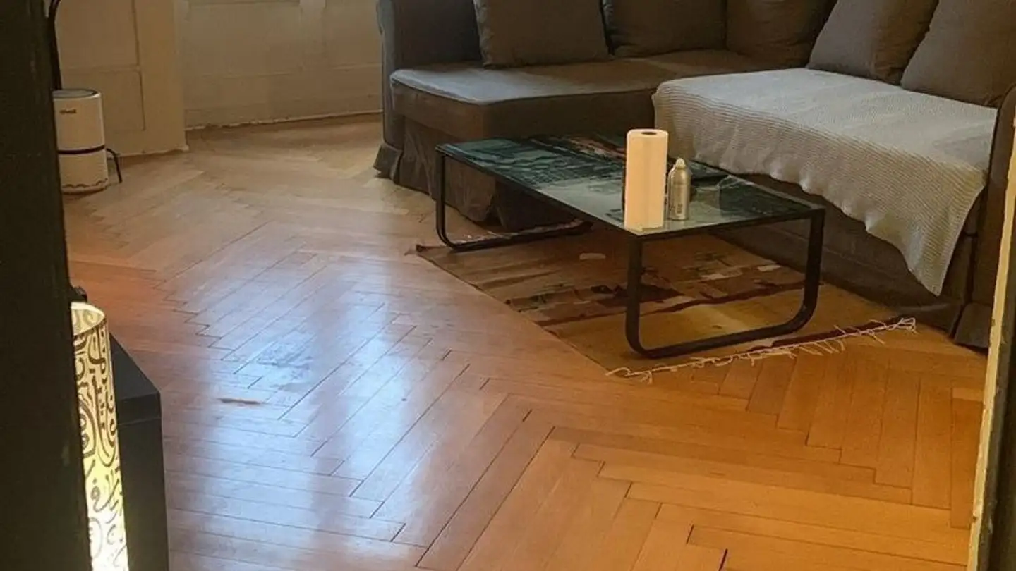 Appartement à louer - Rue De L' Encyclopédie 4, 1201 Genève - Photo 2