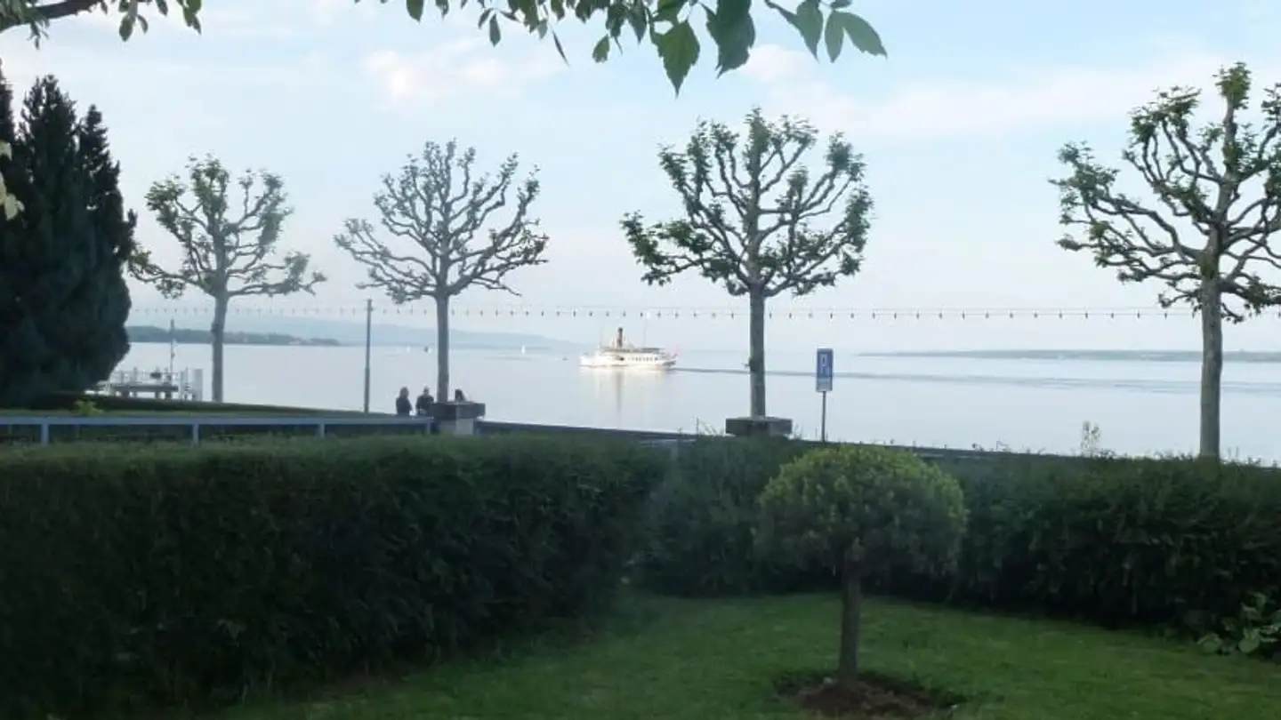 Appartement à louer - Route De Suisse 24, 1290 Versoix