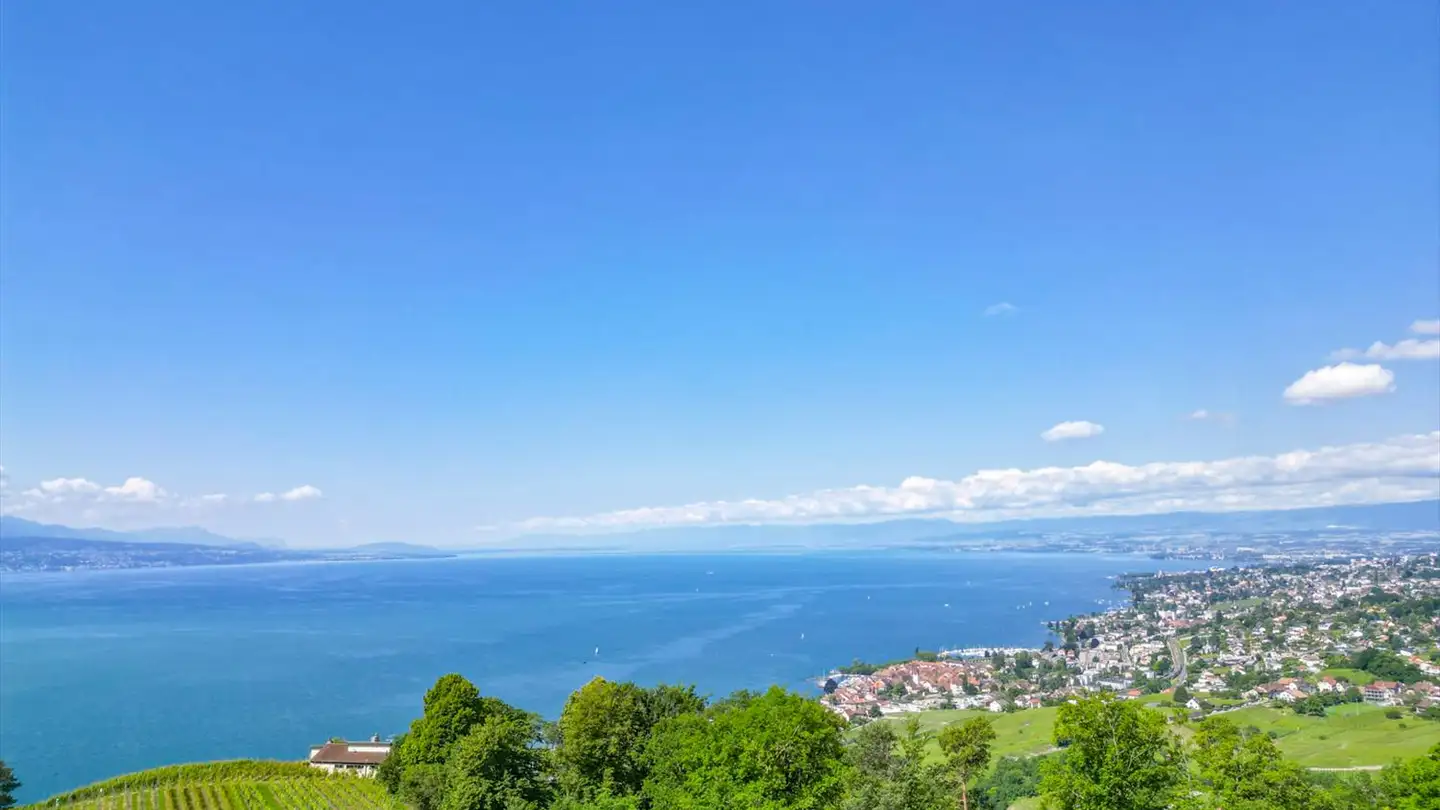 Villa kaufen - 1003 Lausanne - Foto 3