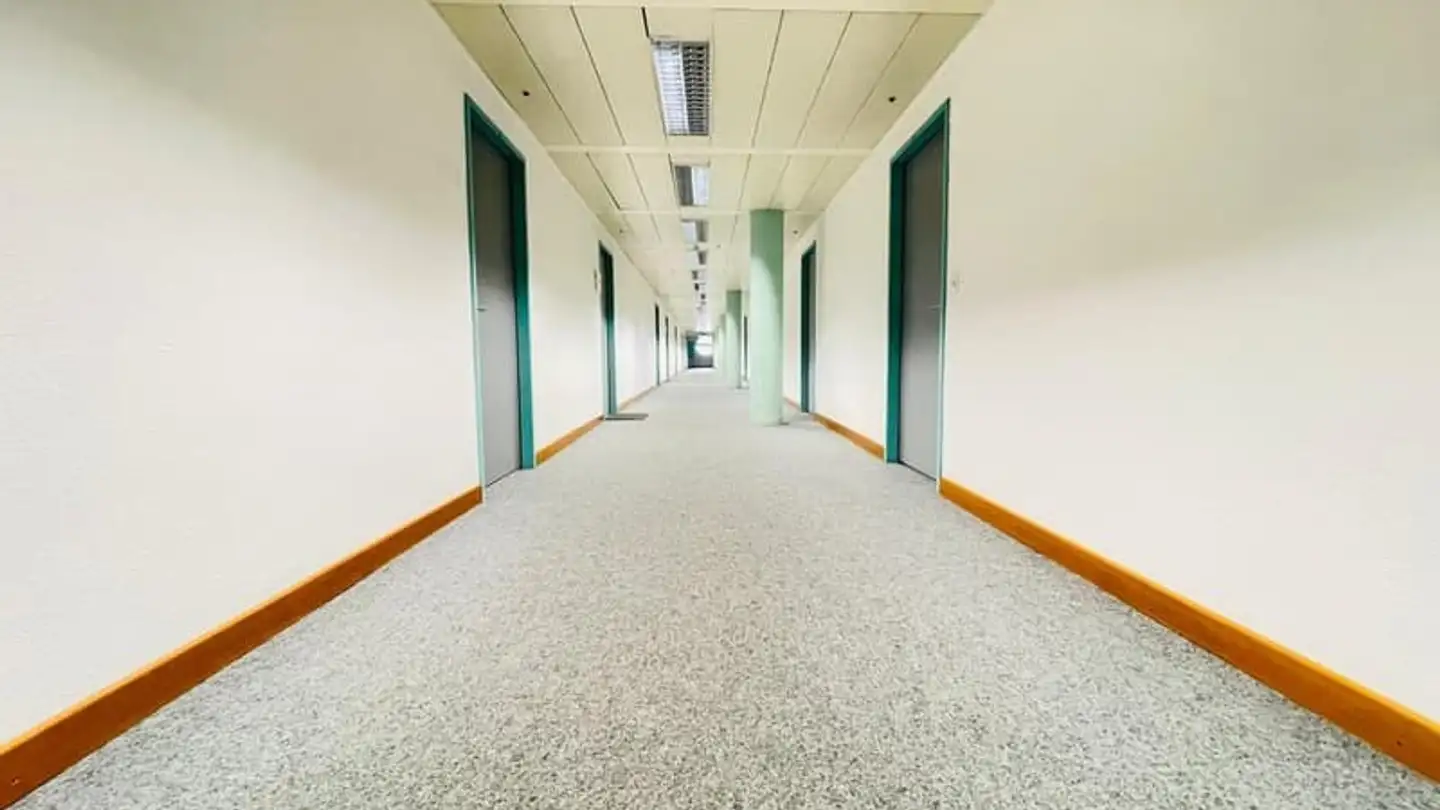 Spazio ufficio in affitto - 6928 Manno - Photo 4