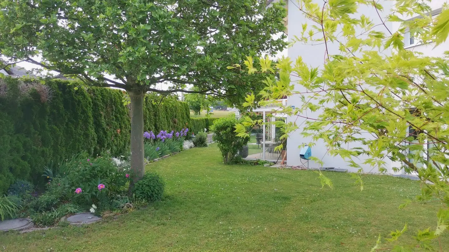 Maison individuelle à louer - Schachenstrasse 24, 8182 Hochfelden - Photo 4