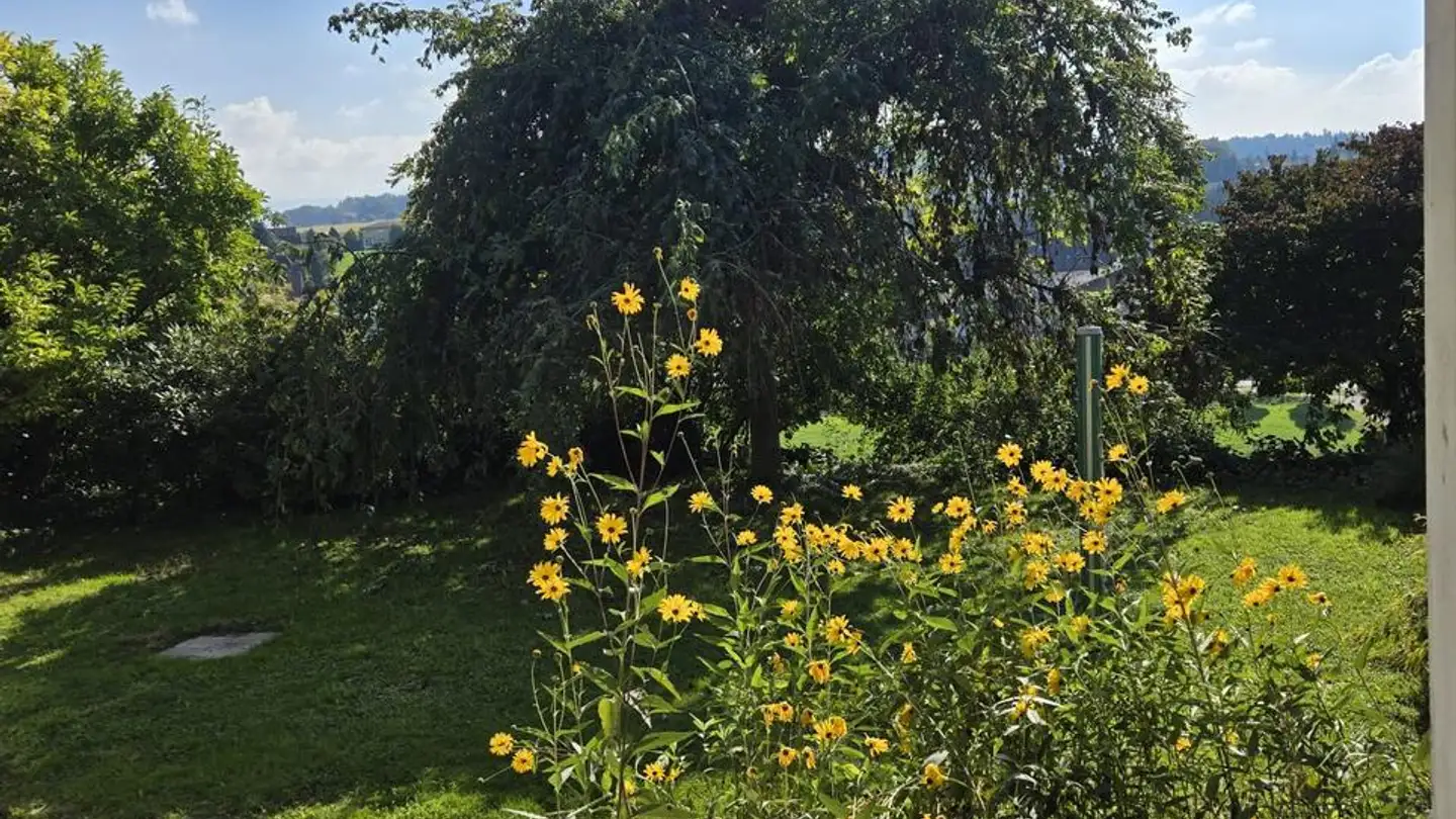 Appartamento in affitto - Alfons-Aeby-Strasse 22, 3186 Düdingen - Photo 4