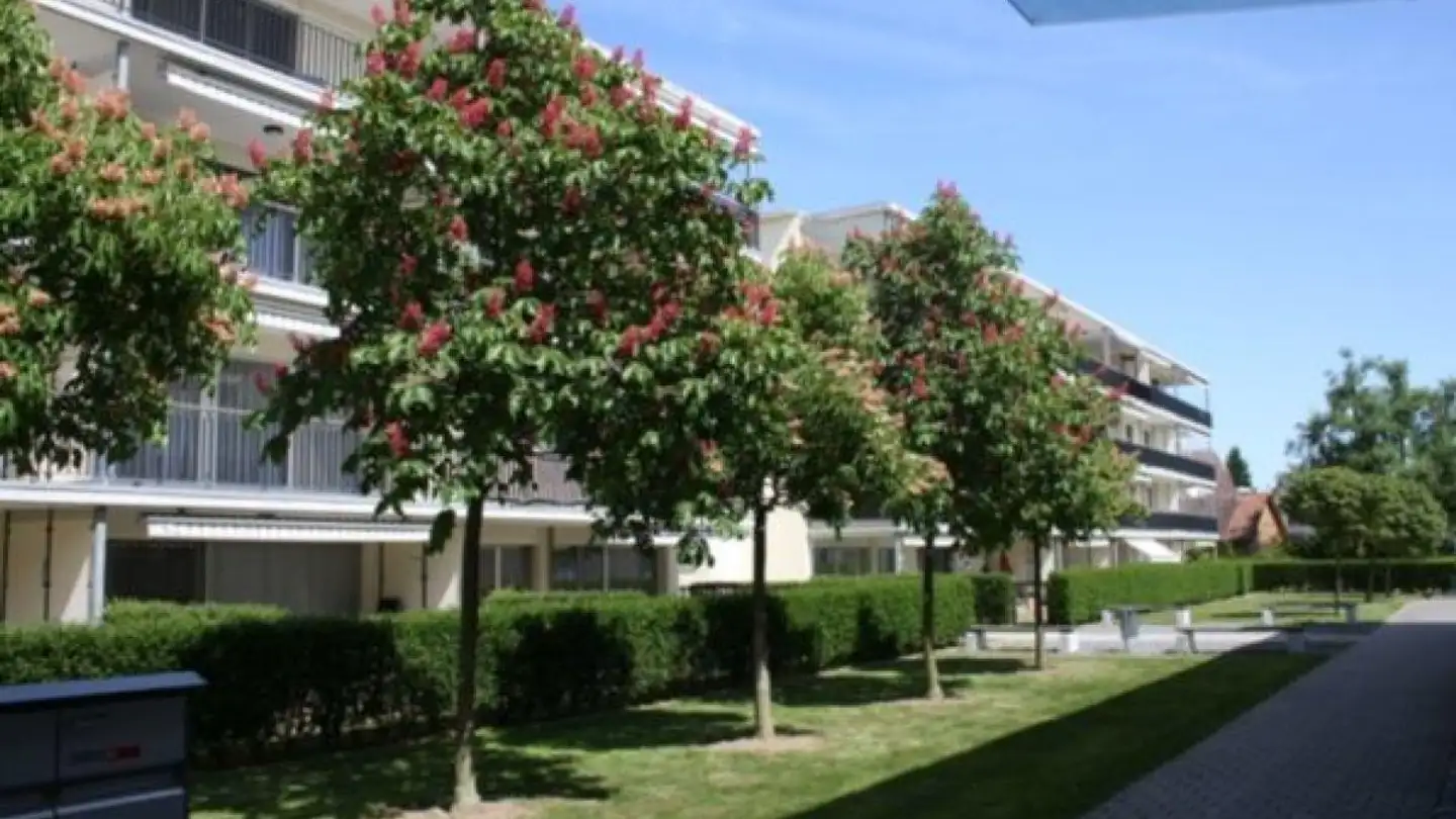 Wohnung mieten - Südstrasse 5, 8570 Weinfelden - Foto 2