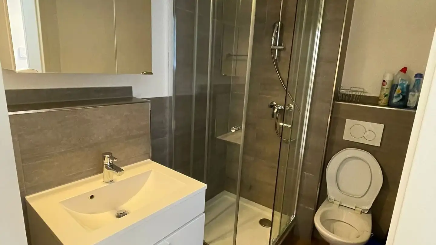 Furnished apartment for rent - Giessliweg 68, 4057 Basel - Photo 2