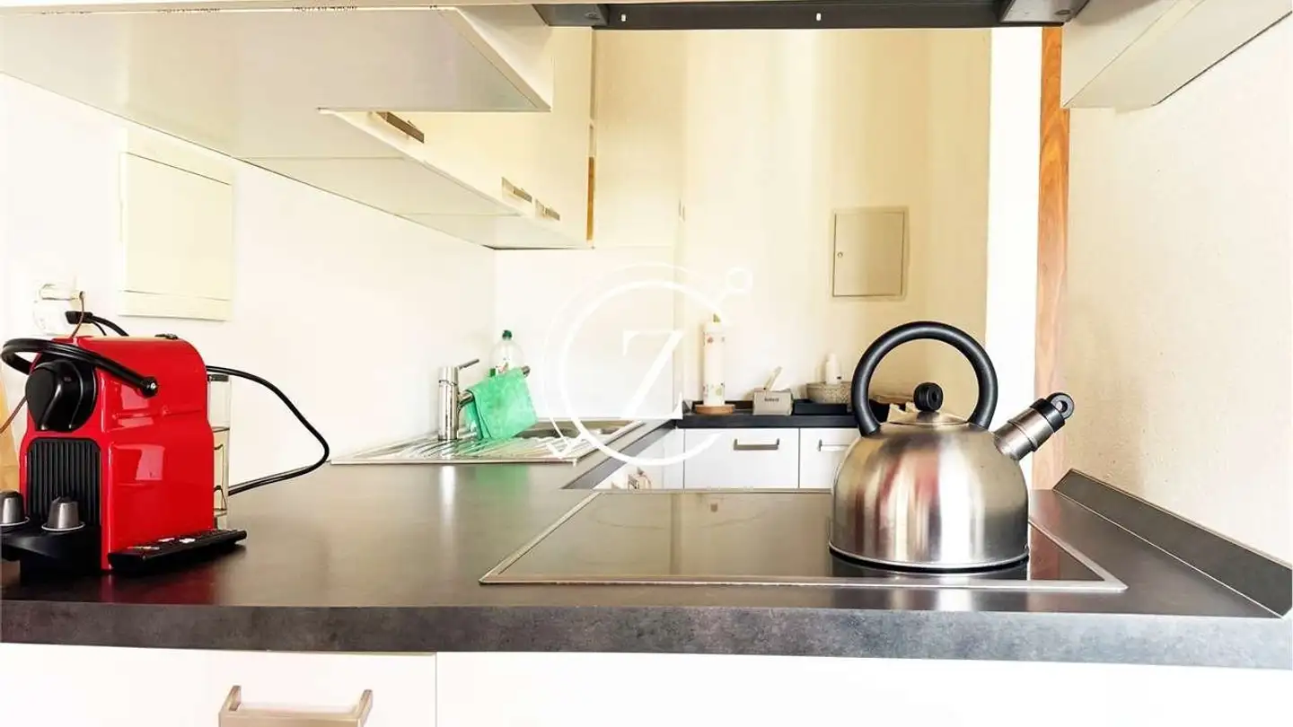 Appartement meublé à louer - Via Marietta Crivelli-Torricelli, 6900 Lugano