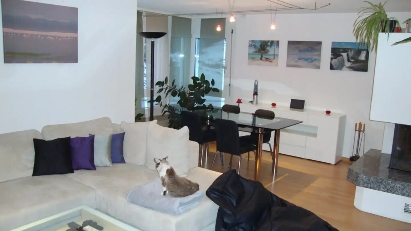 Appartement à louer - Zürcherstrasse, 8142 Uitikon Waldegg - Photo 2