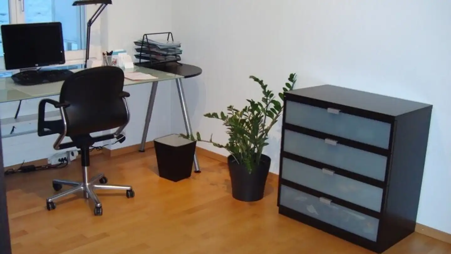 Appartement à louer - Zürcherstrasse, 8142 Uitikon Waldegg - Photo 3