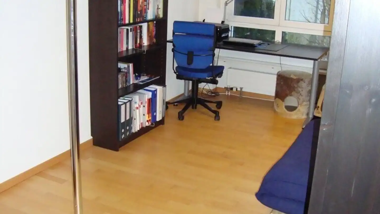 Appartement à louer - Zürcherstrasse, 8142 Uitikon Waldegg - Photo 4