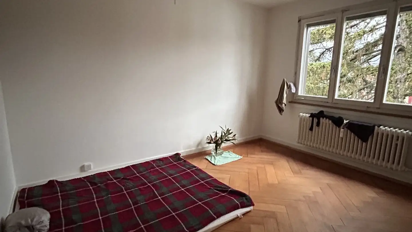 Stanza singola in affitto - 8002 Zürich