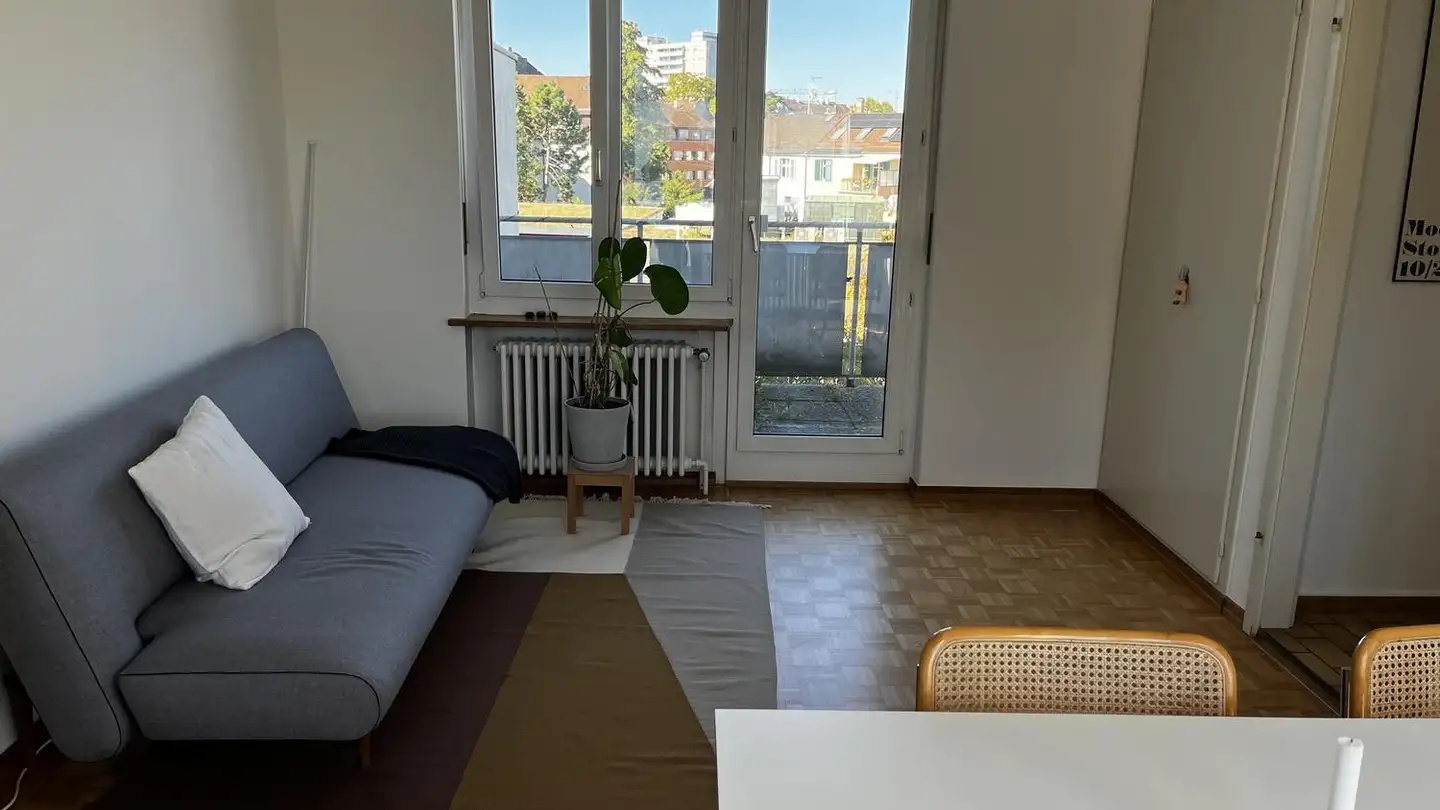 Furnished apartment for rent - Spalentorweg, 4051 Basel - Photo 3