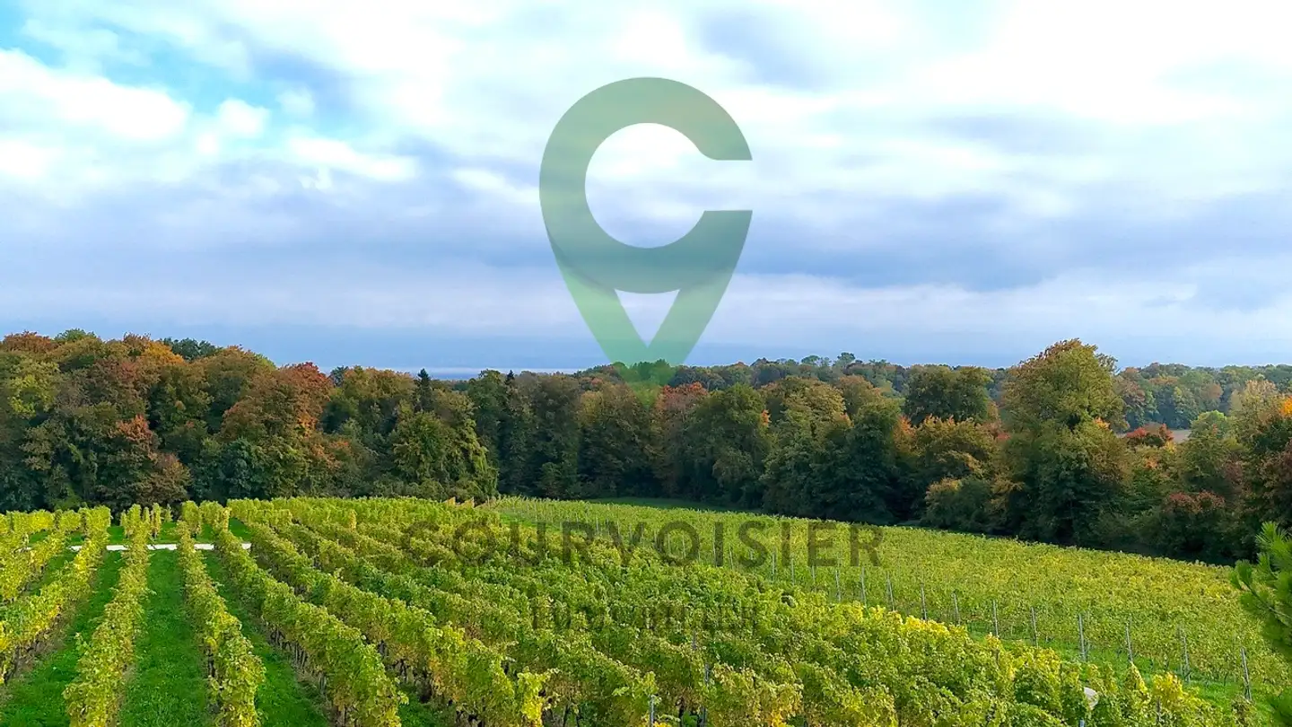 Cave house for sale - 1110 Morges