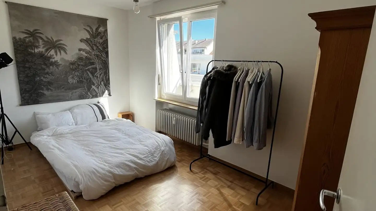 Furnished apartment for rent - Spalentorweg, 4051 Basel - Photo 4