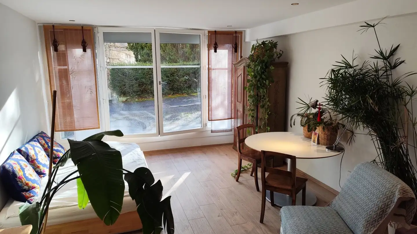 Apartment for rent - Avenue Eugène-Rambert, 1005 Lausanne