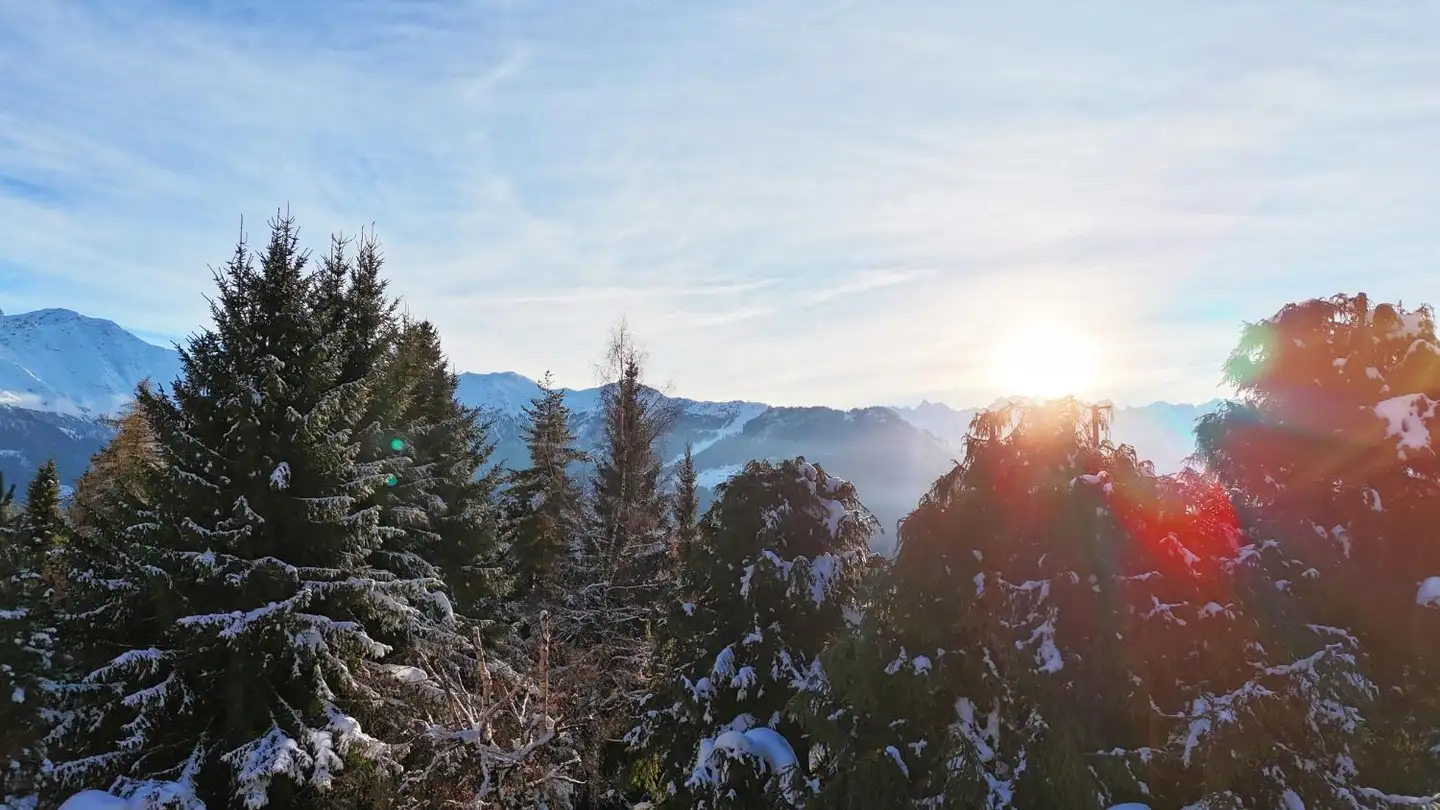 Duplex à vendre - 1936 Verbier - Photo 4