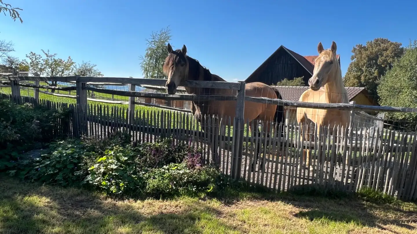Bauernhof kaufen - Route De Lucens 7, 1682 Dompierre VD