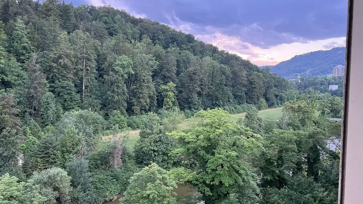 Appartamento in affitto - Leimbachstrasse 43, 8041 Zürich - Foto 3