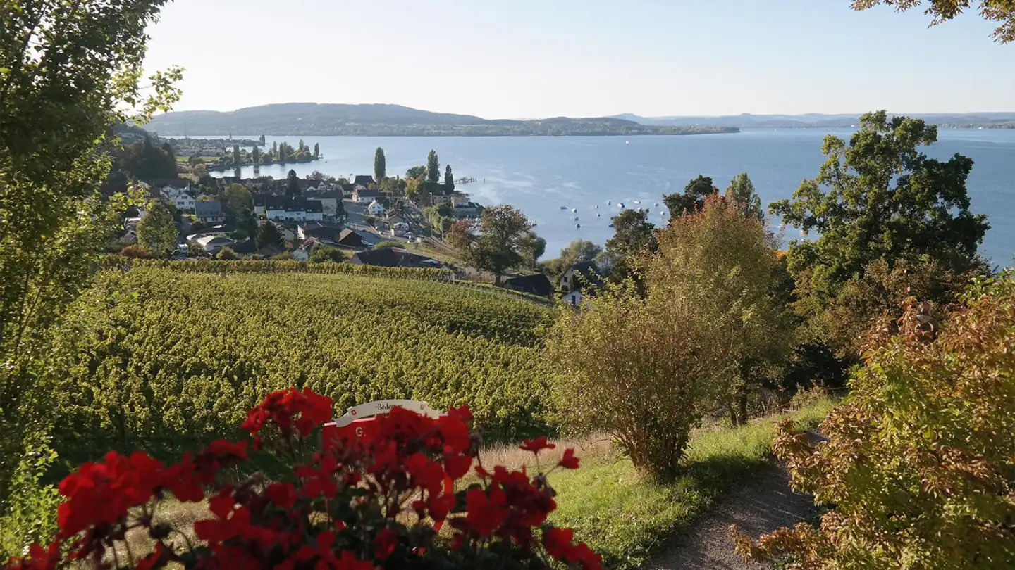 Wohnung mieten - Eugensbergstrasse 16, 8268 Salenstein - Foto 2