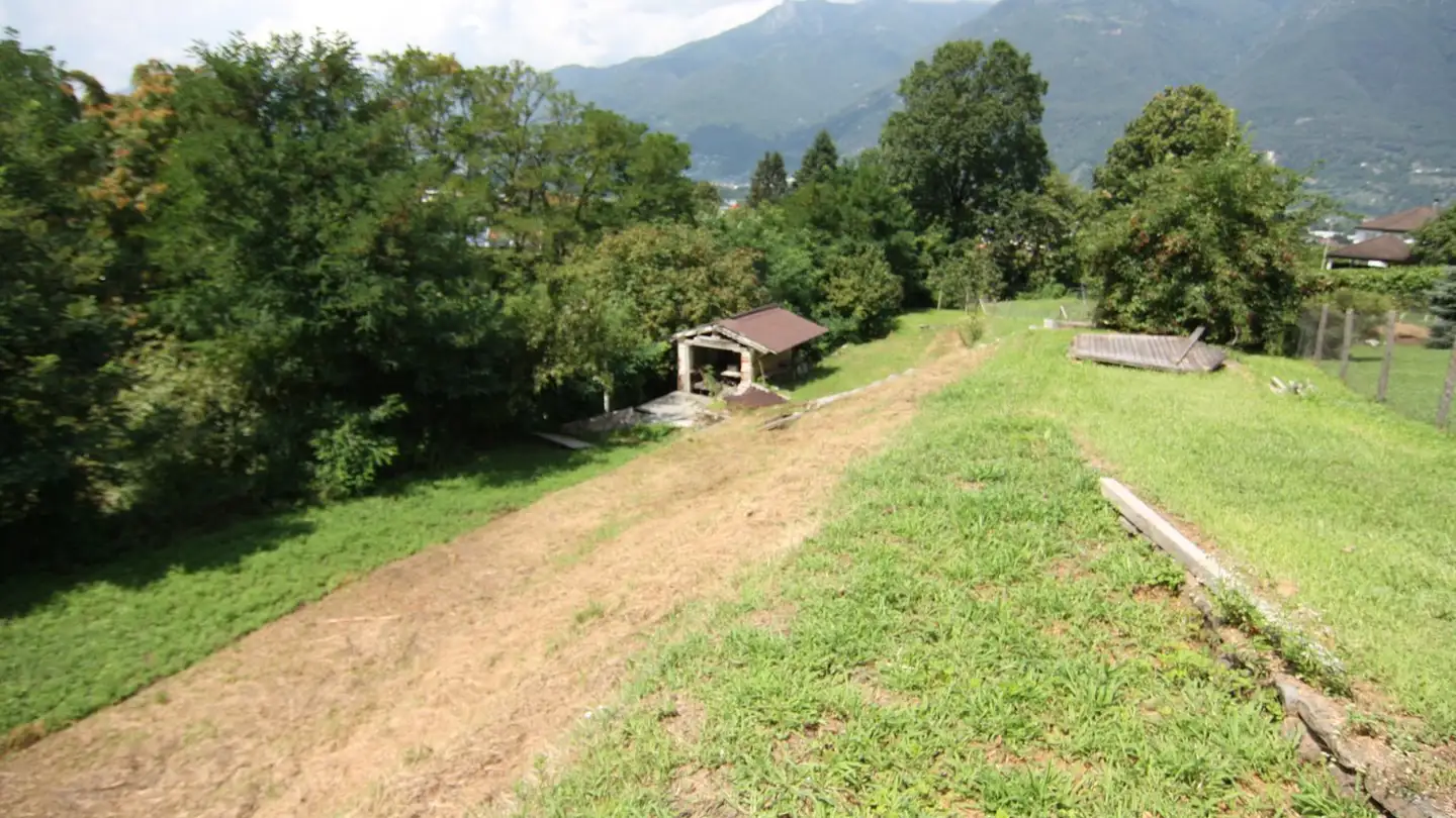 Constructible plot for sale - Carrale Degli Orti 3, 6593 Cadenazzo