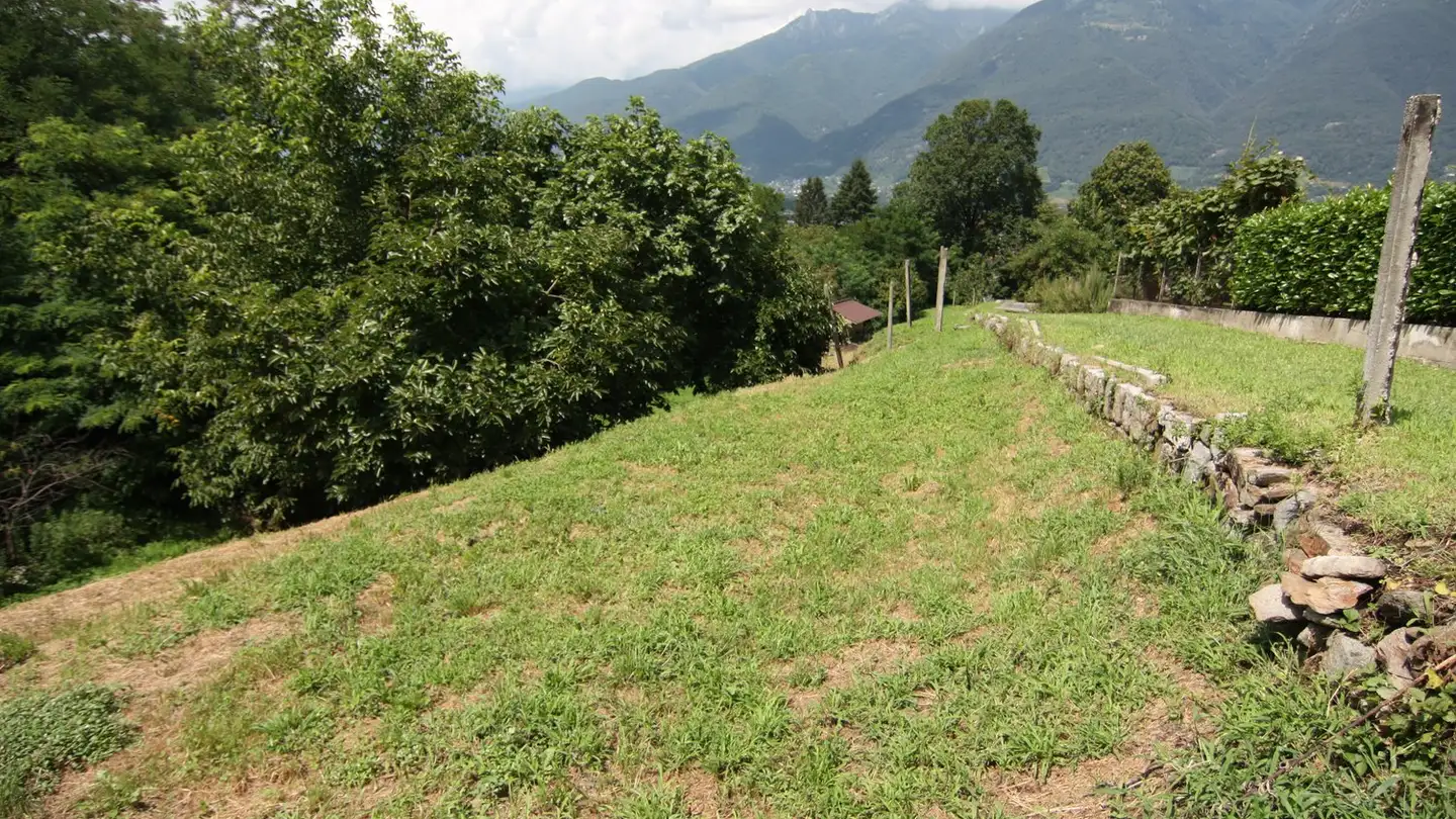 Constructible plot for sale - Carrale Degli Orti 3, 6593 Cadenazzo - Photo 4