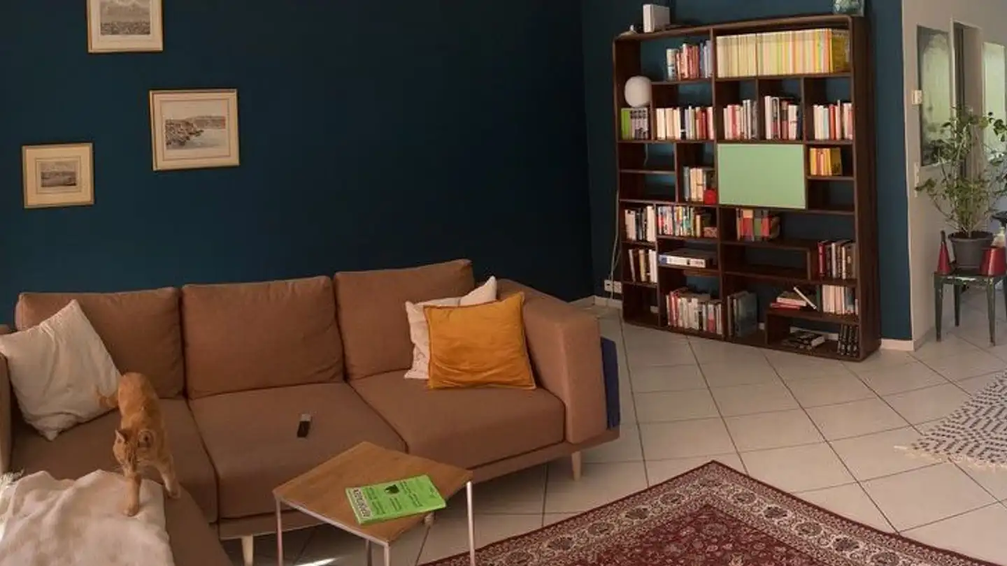 Penthouse for rent - Hörnlistrasse 85, 8400 Winterthur