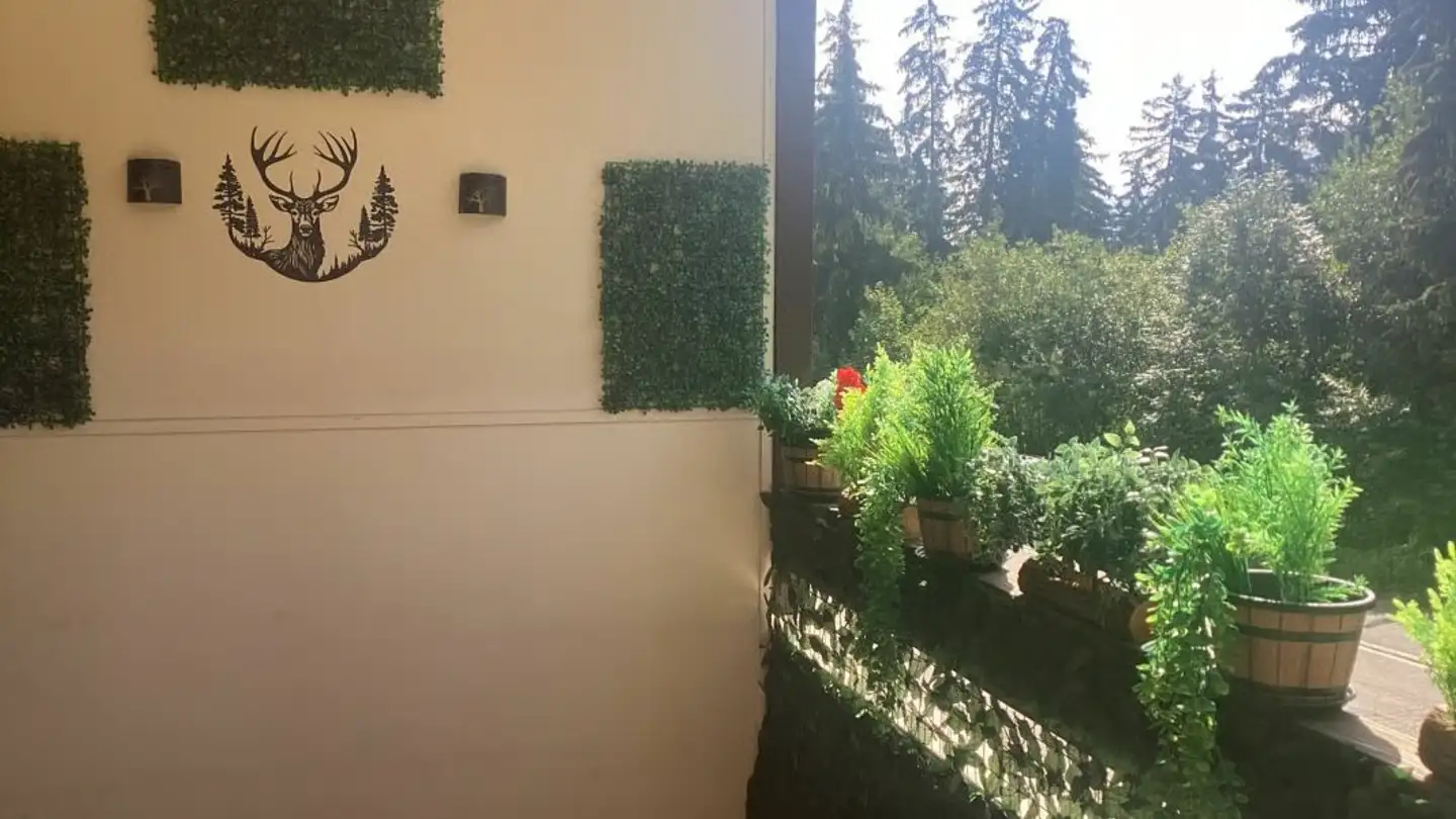 Appartement à louer - Rue De Pirrazilina, 3963 Crans-Montana - Photo 3