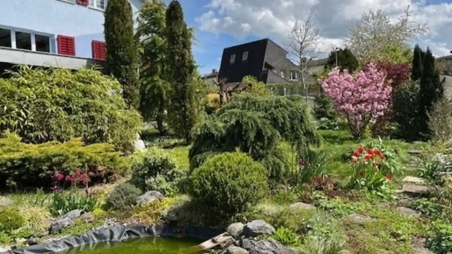 Casa singola in affitto - Hofrain 5, 5420 Ehrendingen