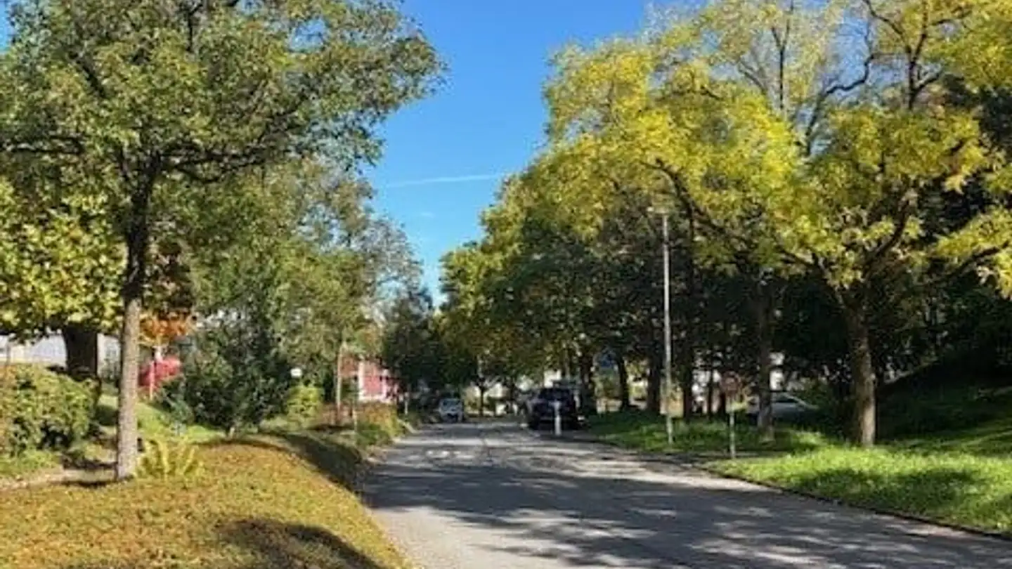 Appartamento in affitto - Röhrliberg 56, 6330 Cham