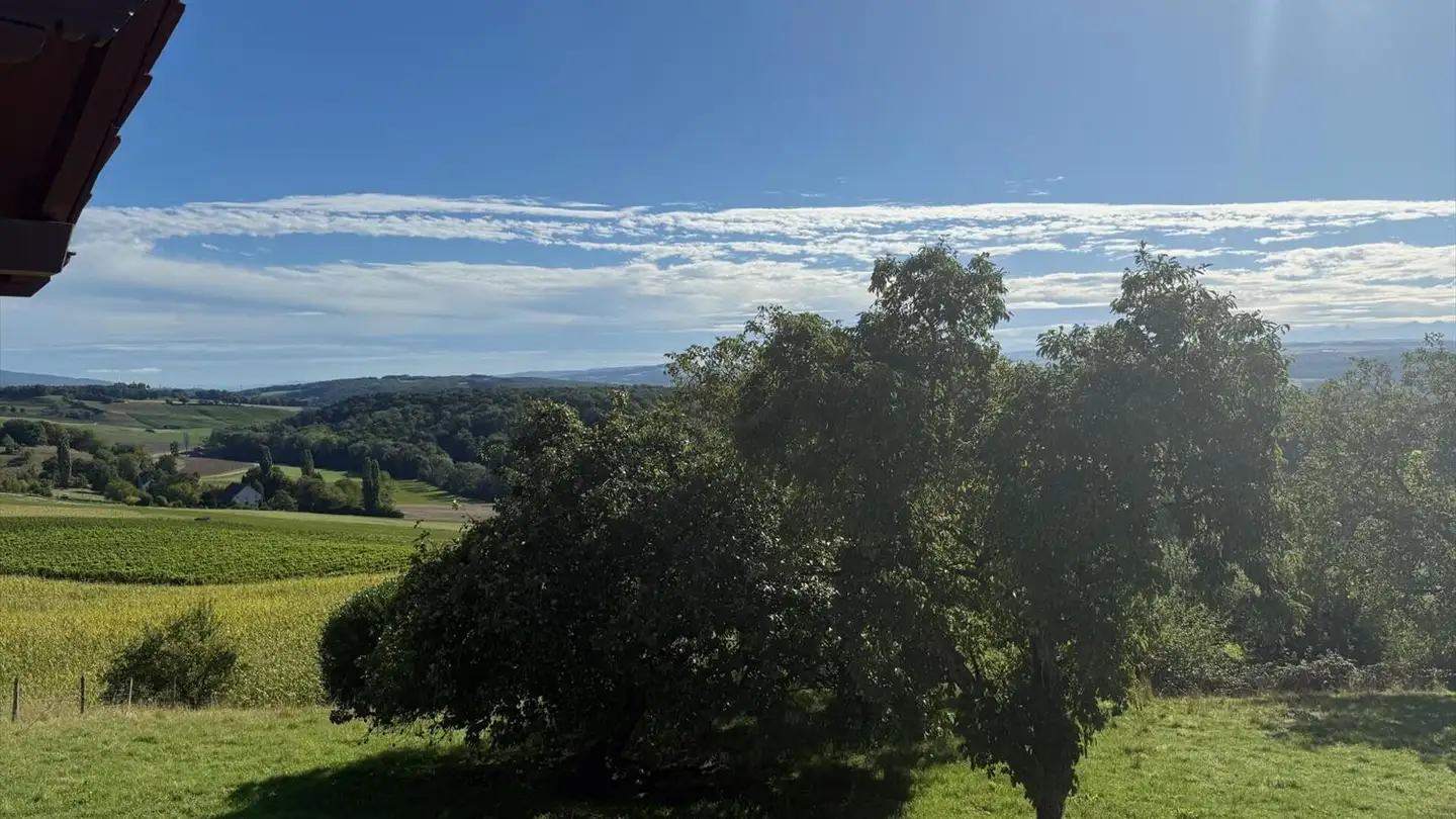 Casa singola in affitto - 1350 Orbe - Photo 4