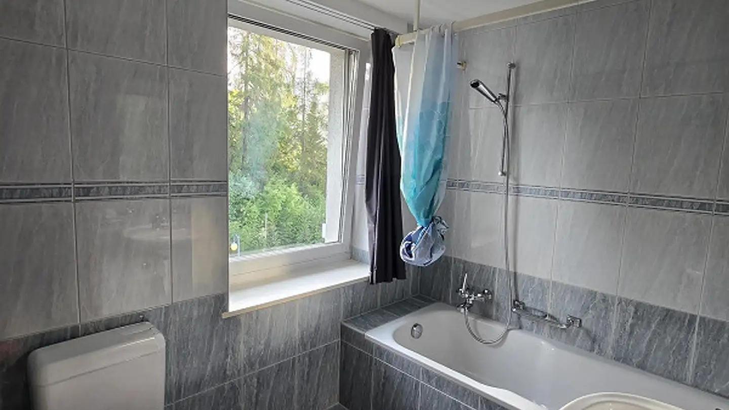 Appartamento in affitto - Promenada 43, 7018 Flims Waldhaus - Foto 3