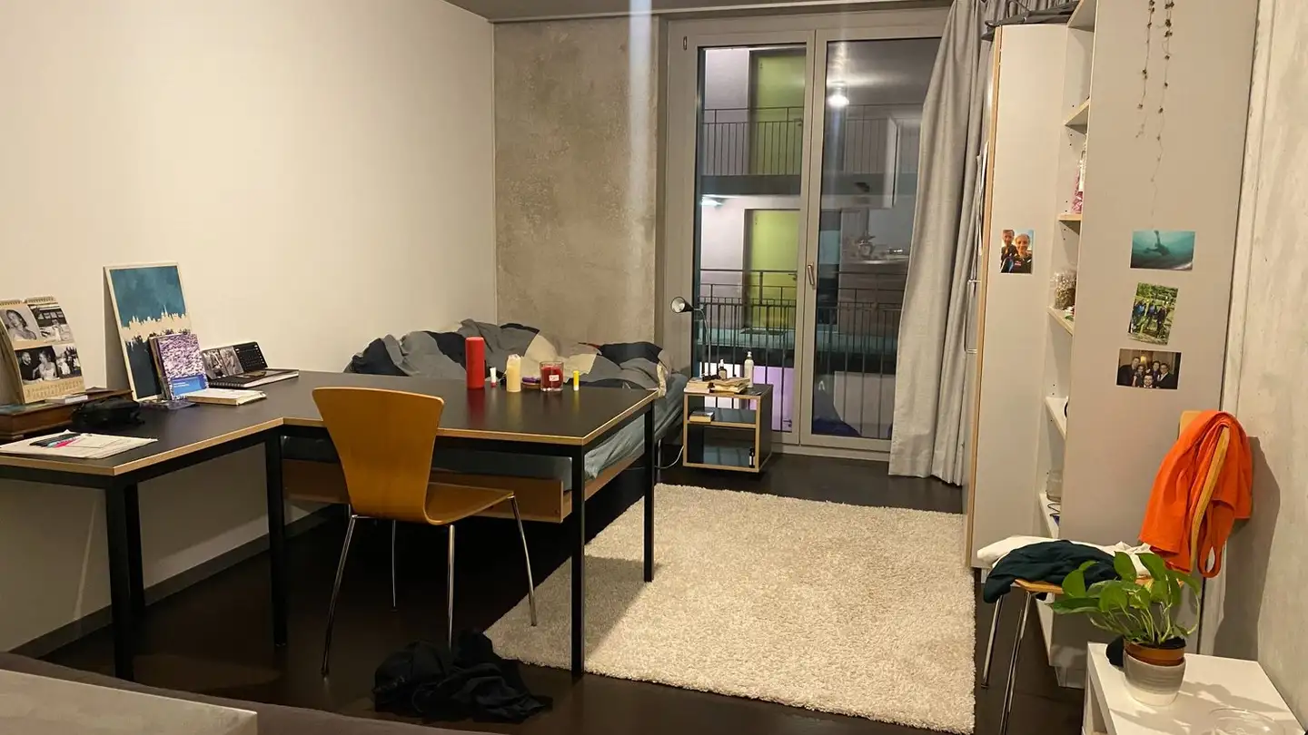 Appartamento in affitto - Uetlibergstrasse, 8045 Zürich