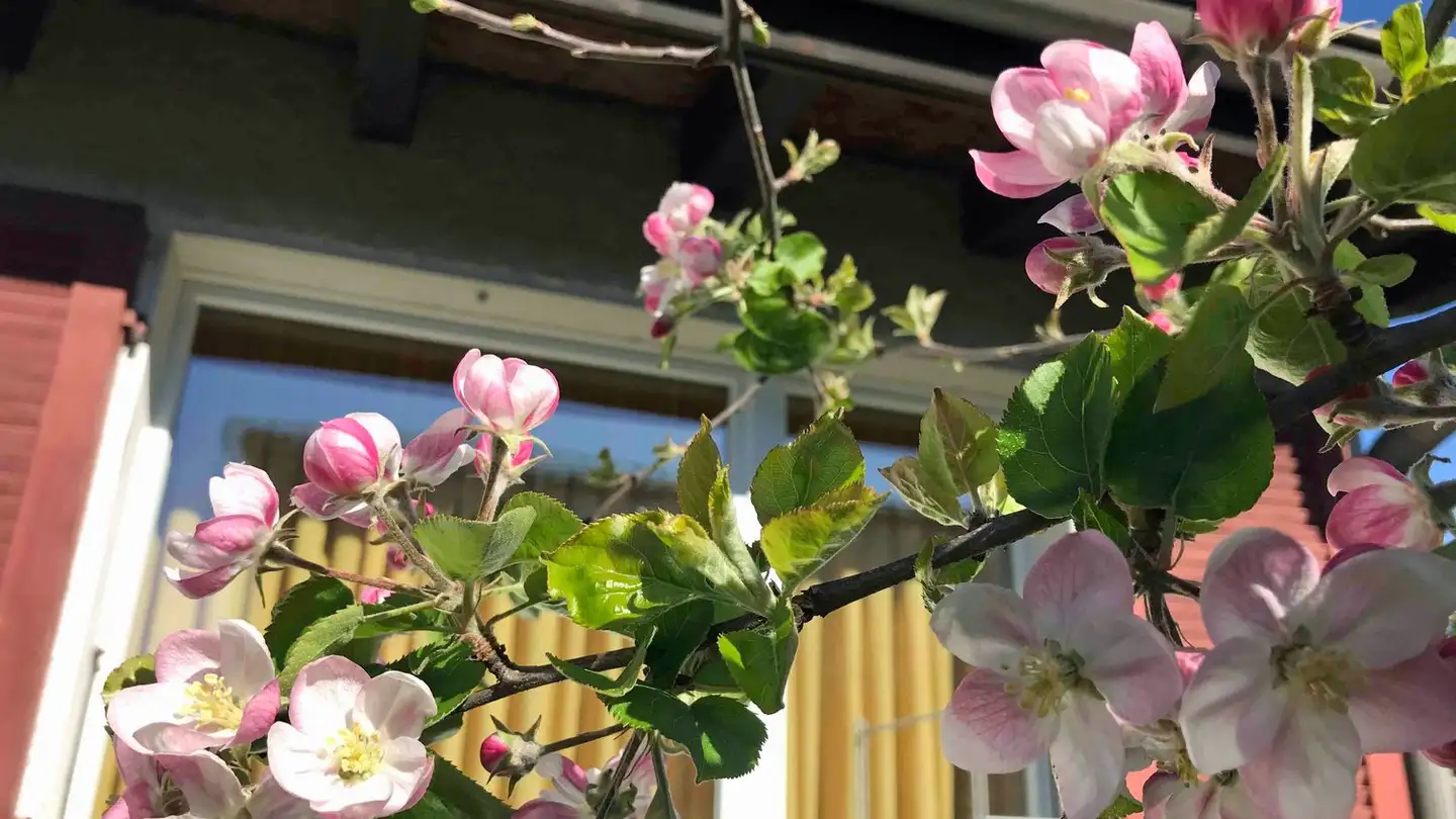 Casa singola in vendita - 6984 Pura - Foto 4