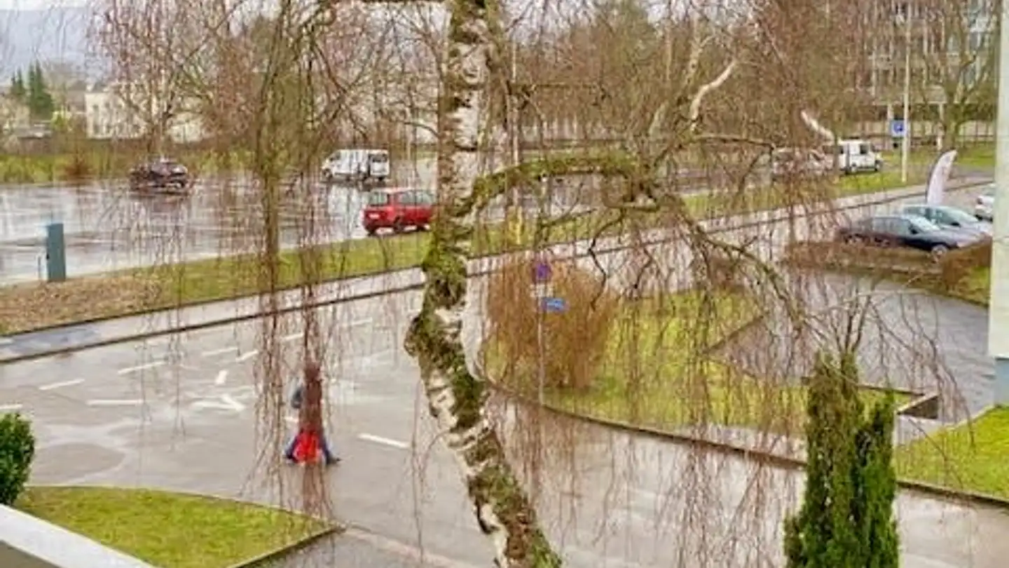 Wohnung mieten - Brückliweg 4, 4153 Reinach BL - Foto 4