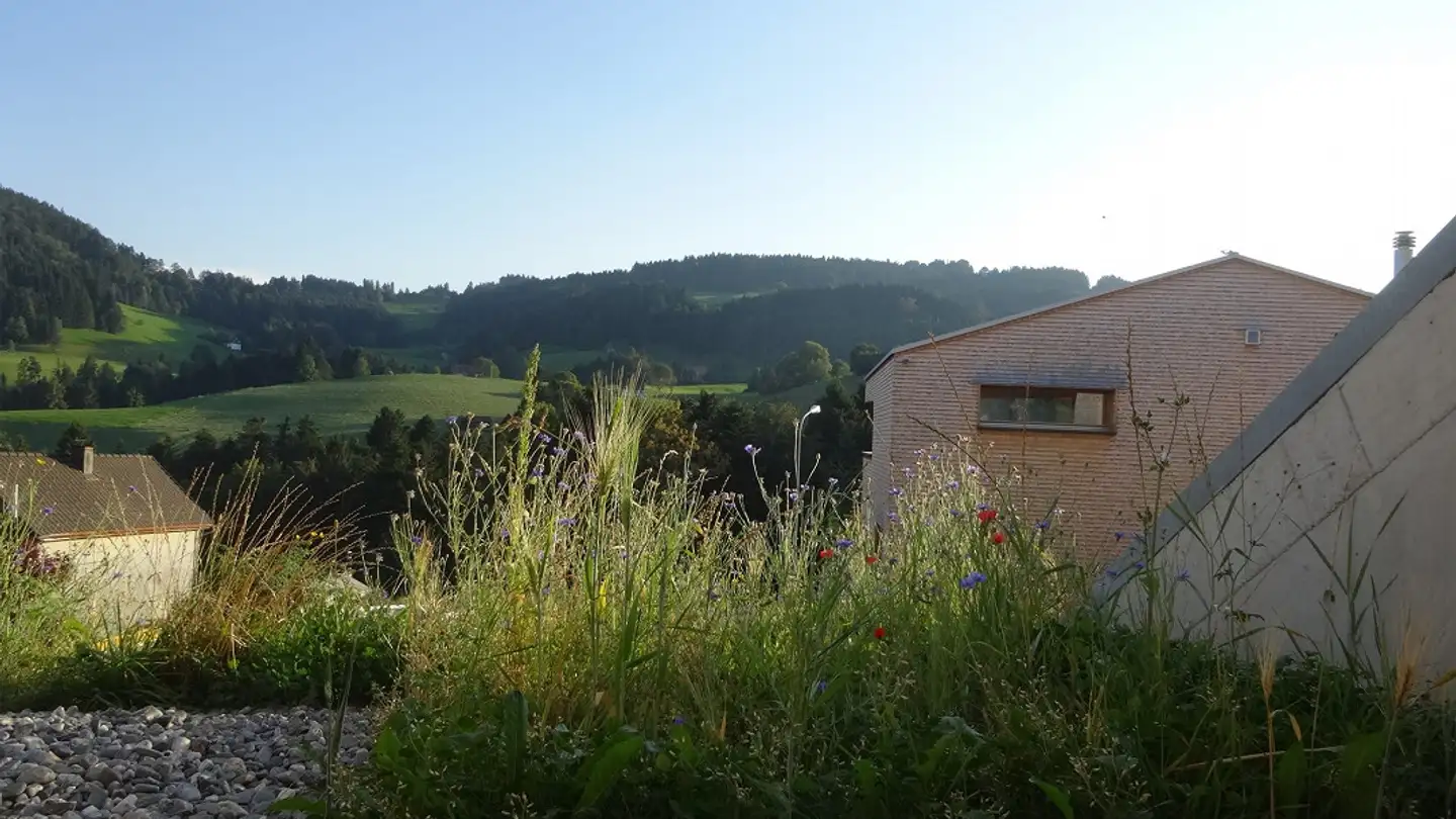 Single house for rent - Rohnenstrasse 5, 9411 Schachen b. Reute - Photo 2