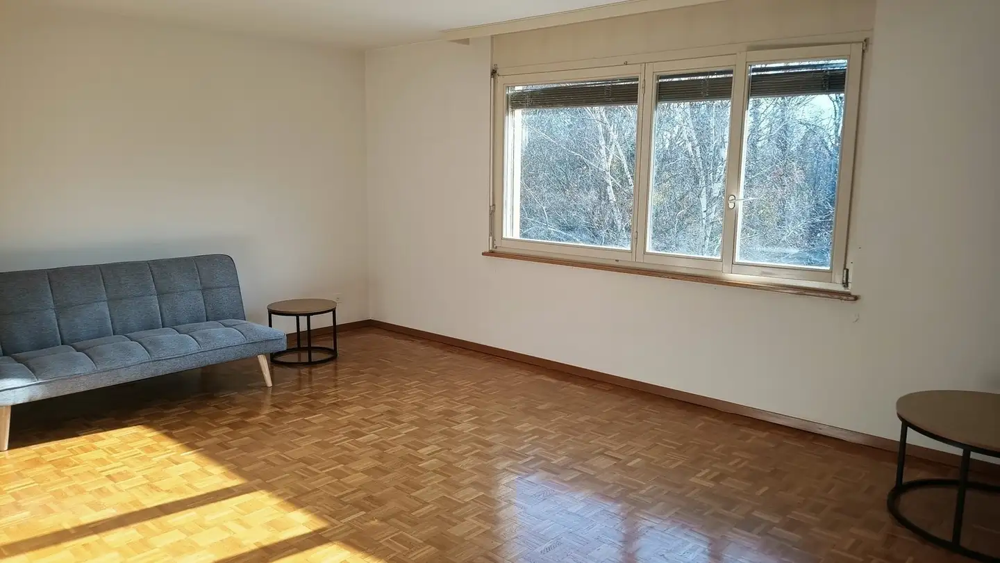 Appartamento in affitto - 2015 Areuse