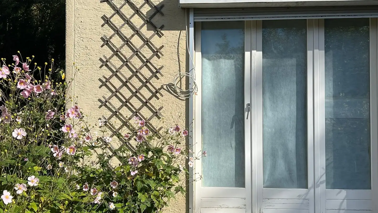 Wohnung mieten - Rinderweidstrasse 30, 4632 Trimbach - Foto 2