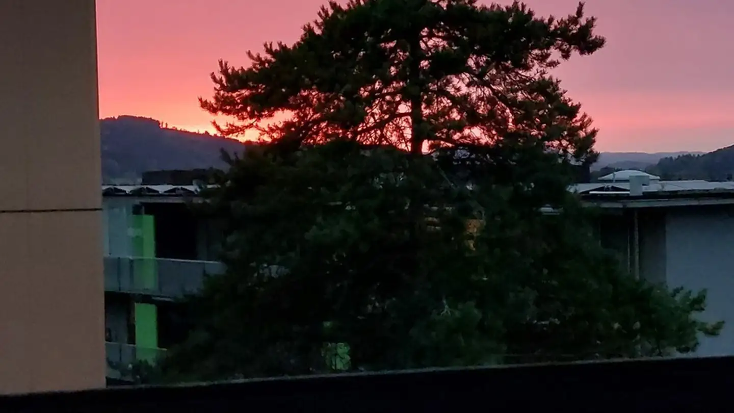 Appartement à louer - Bernhardswiesstrasse 17, 9014 St. Gallen - Photo 4