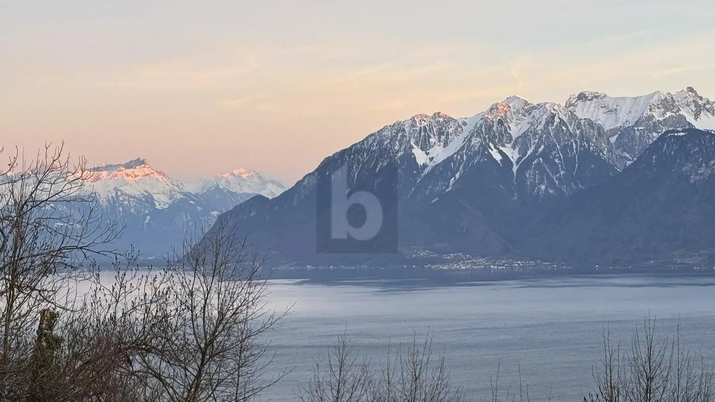Appartement à louer - 1091 Grandvaux - Photo 2