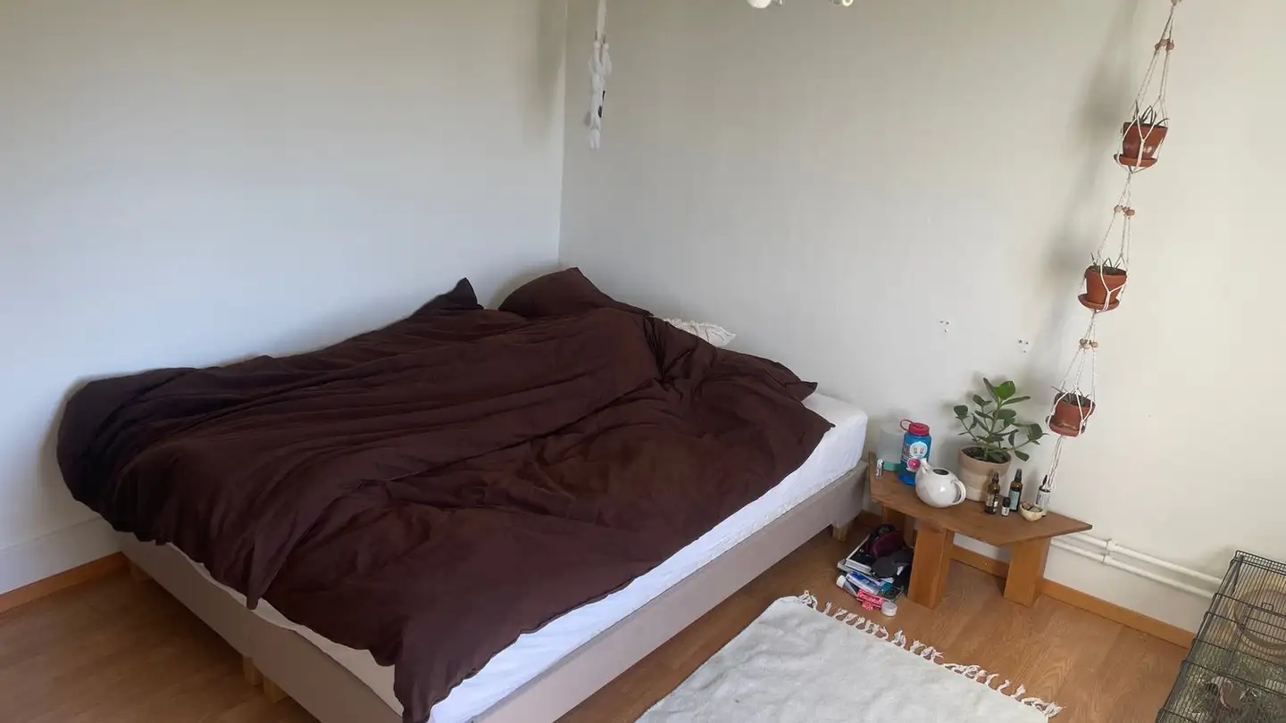 Chambre à louer - Im Boll 25, 5600 Lenzburg - Photo 3