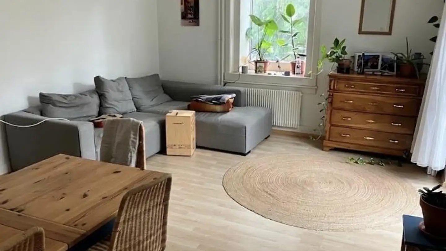 Appartement à louer - Alte Landstrasse 23, 4455 Zunzgen - Photo 2