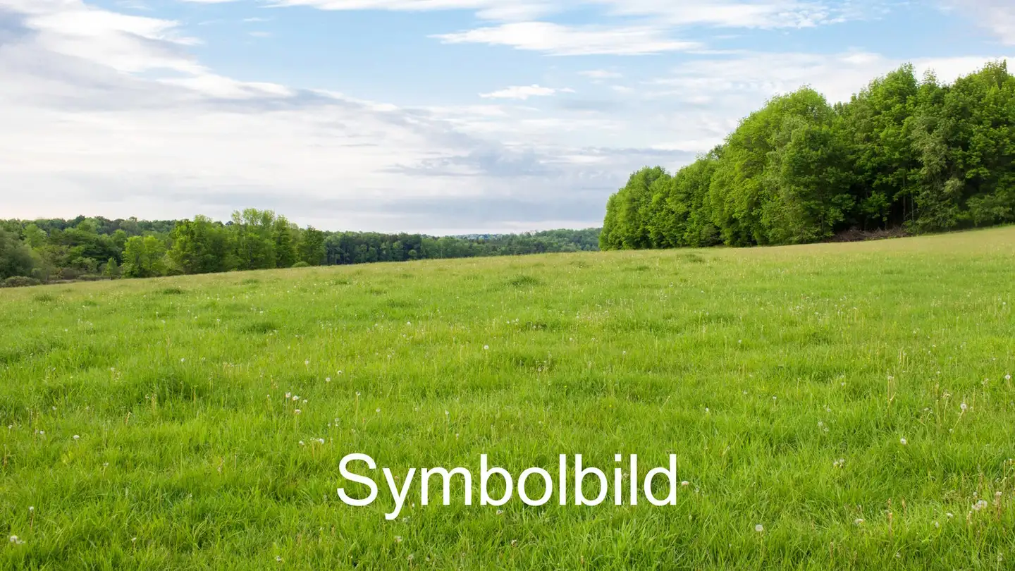 Terreno edificabile in vendita - 6234 Triengen