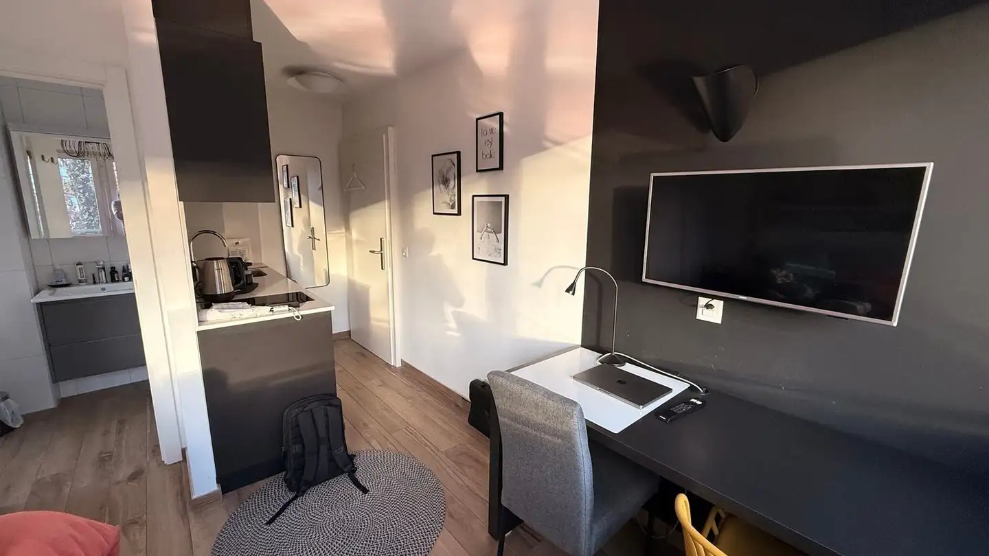 Appartement à louer - Chemin Du Vieux-Canal, 1950 Sion - Photo 3