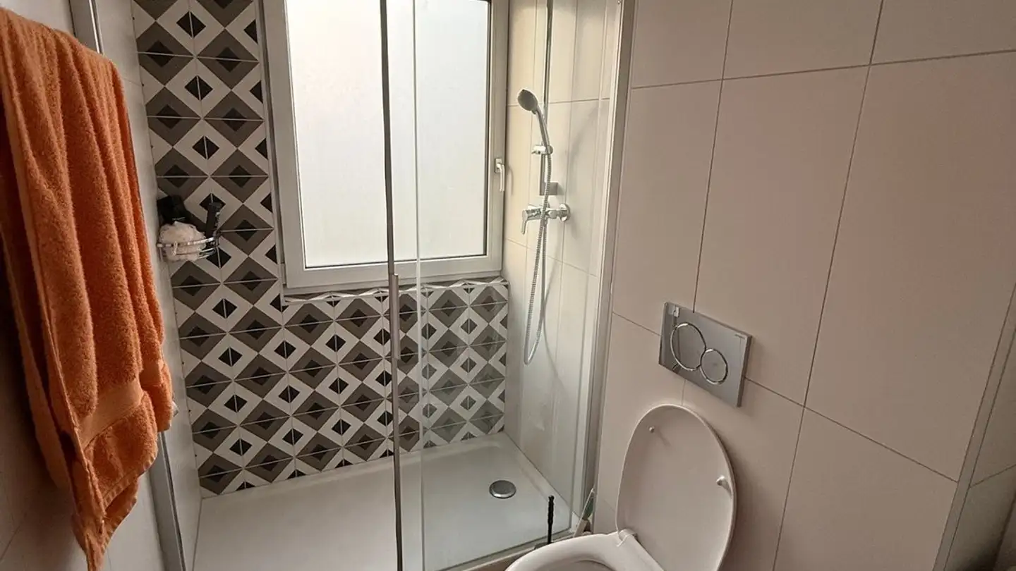 Appartement à louer - Chemin Du Vieux-Canal, 1950 Sion - Photo 4