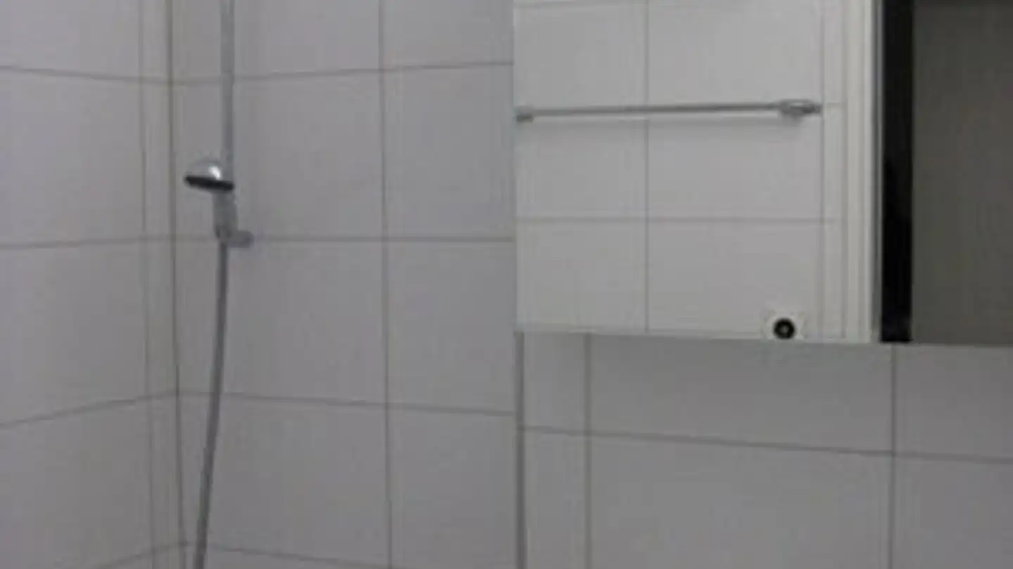 Wohnung mieten - Kirchweg 108, 8246 Langwiesen - Foto 4